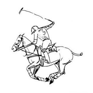 Welcome to High Value Polo!